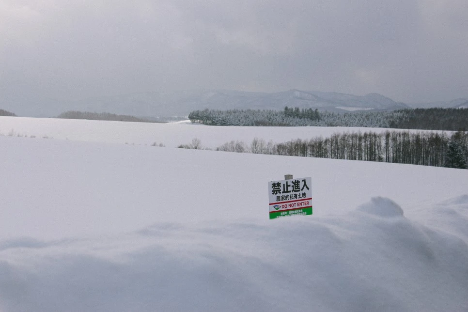 IMG_0762.JPG?type=w966