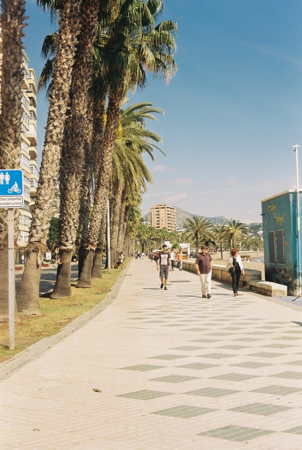 014_29791750030_o.jpg?type=w966