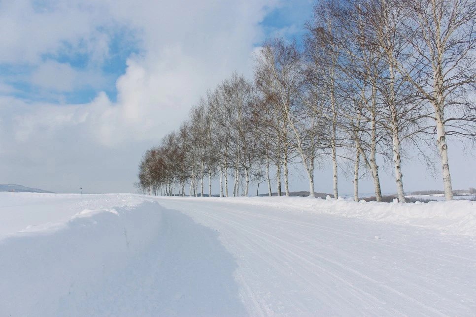 IMG_0749.JPG?type=w966