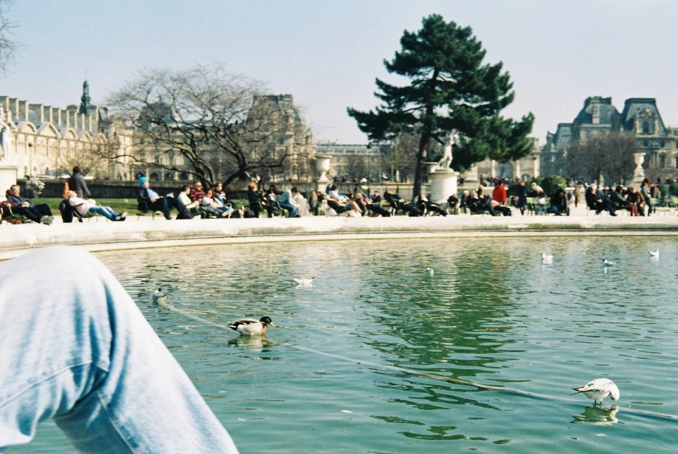 000007_28820888655_o.jpg?type=w966