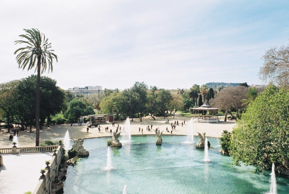 000020_29970561322_o.jpg?type=w966