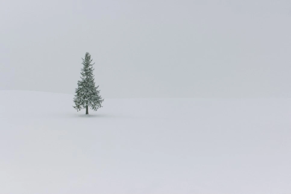 IMG_0664.JPG?type=w966