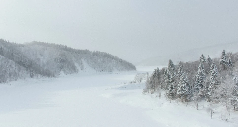 IMG_0613.JPG?type=w966