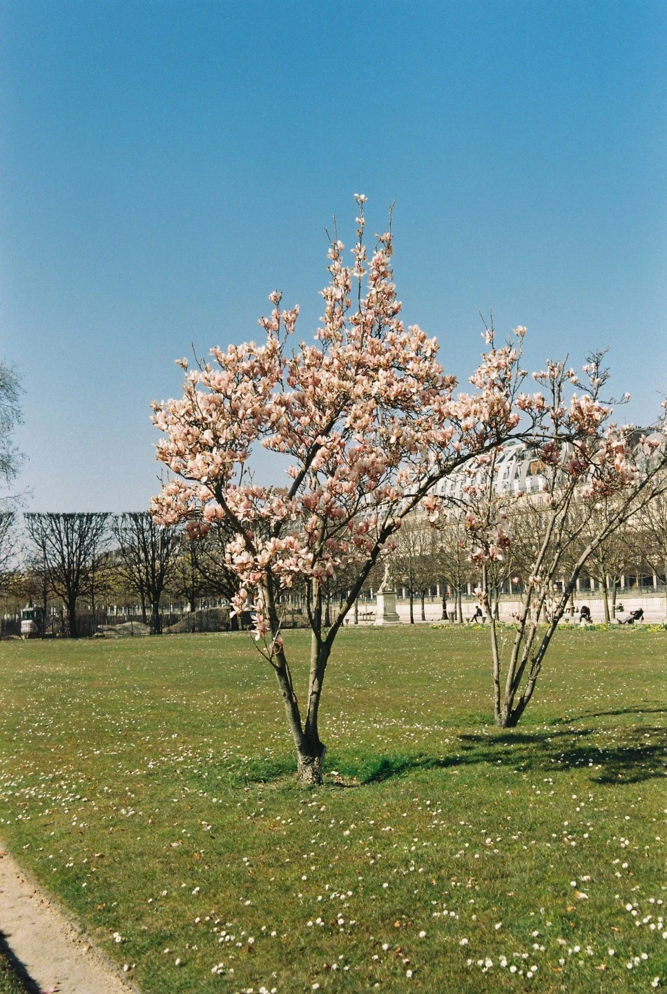 000009_28203210854_o.jpg?type=w966