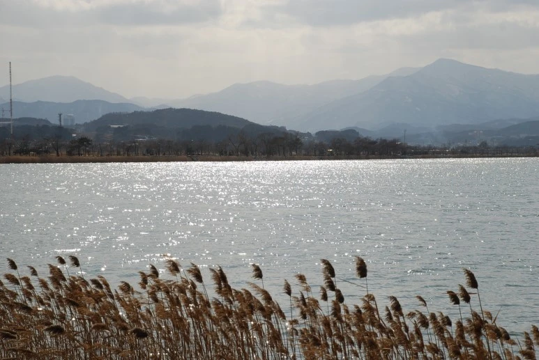 %B0%E6%C6%F7%C8%A3.jpg?type=w773