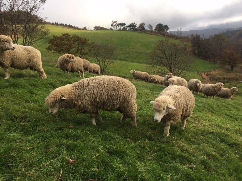 %EB%AA%A9%EC%9E%A54.jpg?type=w773