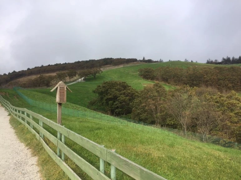 %EB%AA%A9%EC%9E%A51.jpg?type=w773