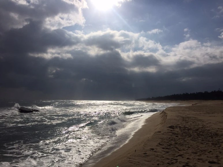 %C0%CC%B0%C5%BD%E1%BE%DF%B0%DA%B4%D9.jpg?type=w773