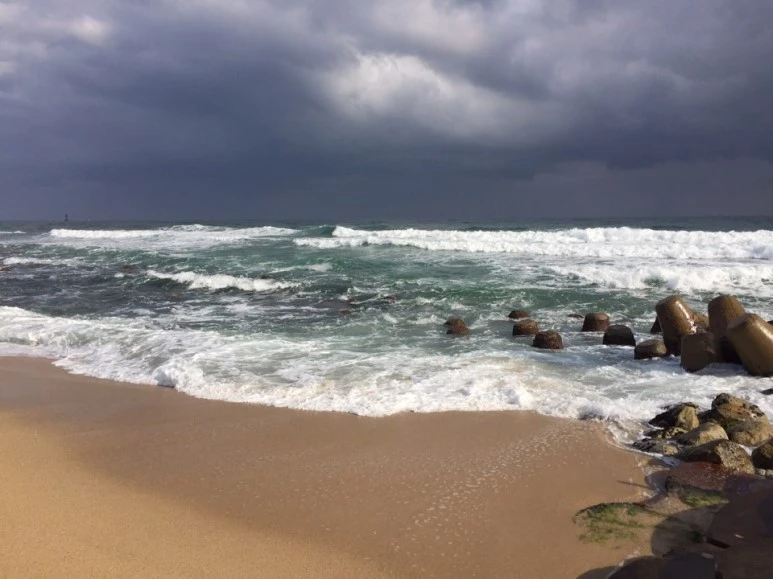 %BA%F1_%B8%D3%B1%DD%C0%BA_%B9%D9%B4%D9.jpg?type=w773