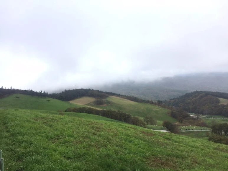 %EB%AA%A9%EC%9E%A52.jpg?type=w773