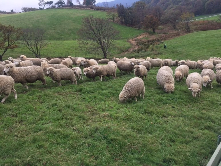 %EB%AA%A9%EC%9E%A53.jpg?type=w773