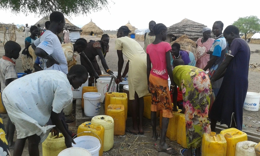 MSF148474_Medium (1).jpg