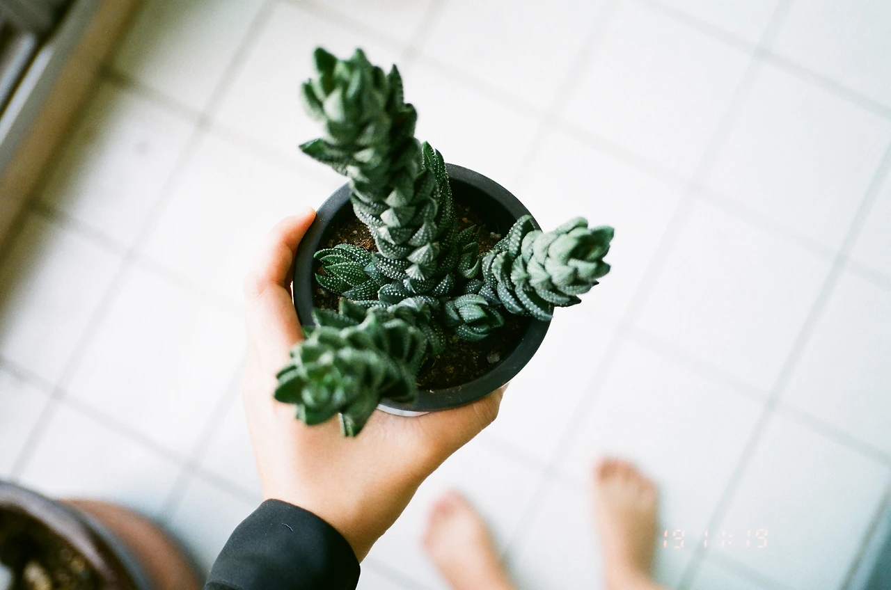 12990033 복사본.JPG