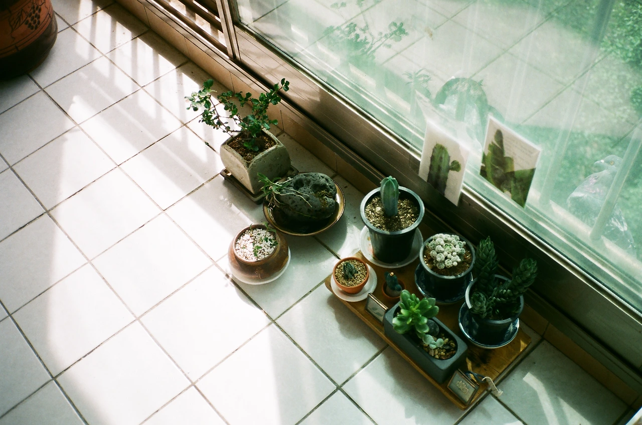 56940011 복사본.JPG