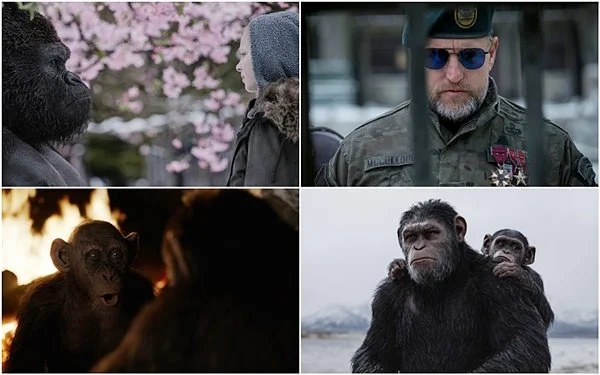 %EA%B3%A0%EB%A6%B4%EB%9D%BC.jpg?type=w1200