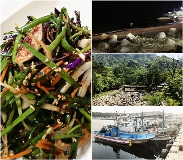 %EC%86%8D%EC%B4%88.jpg?type=w1200