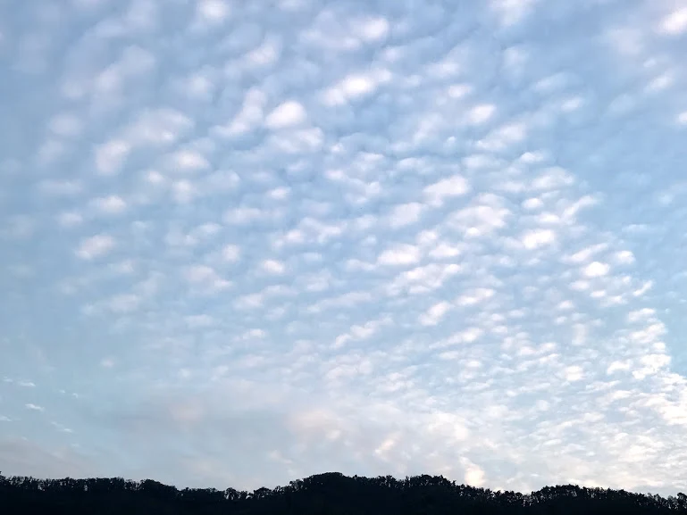 ENxYSIDrpPxOUPKey1AymKmLg0J21-xIfzZ6wUppeUAwe4iE2sRaz9qKdalKXjOjB2DNgoYuoROFXUxJtXP03e_u4qhydTTyobs1WLbZ4RVatdtC9q1BkeWhu0keoJ0B1WHHV5aoKGB3du3FTeh62EwI7gaa23Ijtvfw2WYAnYcaNdLPJDH2V-l9XBIKM3dFr8cpxKaxSBWJPm6BuCmDjVCCI1MVOYym8w9dSdF0bwMJVgsb93hHJ6iNgvxFkyPp2BhBZUiejOW-0r5umriFL5fyyj5GO3Qt7_TsrjVkgcL6K7OKHtTlIYCNKSJTwwt1YwVQeF6Xin6mwMZaVuwz8D3NITNIXOT1hihA8vdmbLBluBm8fXXi164oS5CggEPLLLawMQAOarz8wJVRjV4YkPR4IzF0eKWS_AWw7VyQkvXYb0Ly9NuRjwmZb3xCg-w8pSD2p6729hHi_viOQnJoQmBWr87BOlgi4glNUi5nRtIXyHE8bqxW1mpWxCDgReVGslZJA86lBOm0IrlX0juhCcMVL5NYieOQCdY0nJ_26AxTA4Bc26NTc68rjIEtMZr1raGgxK5FNMwsSBUtUqRpl2acOXBaEf76YWn-vjWiIUw3gglGr5Eq7bbZIApgCpHekd8FfAtyjqecLVKB2Y0LmGXOBw=w770-h577-no