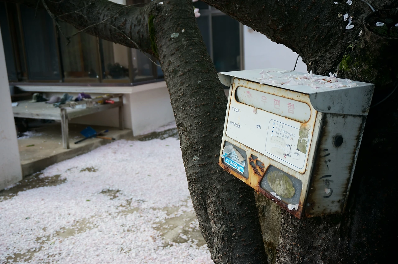 jeju_아이앞의섬 (8).JPG