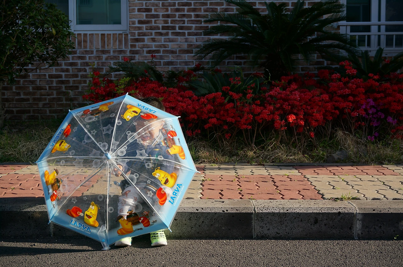 jeju_아이앞의섬 (20).JPG