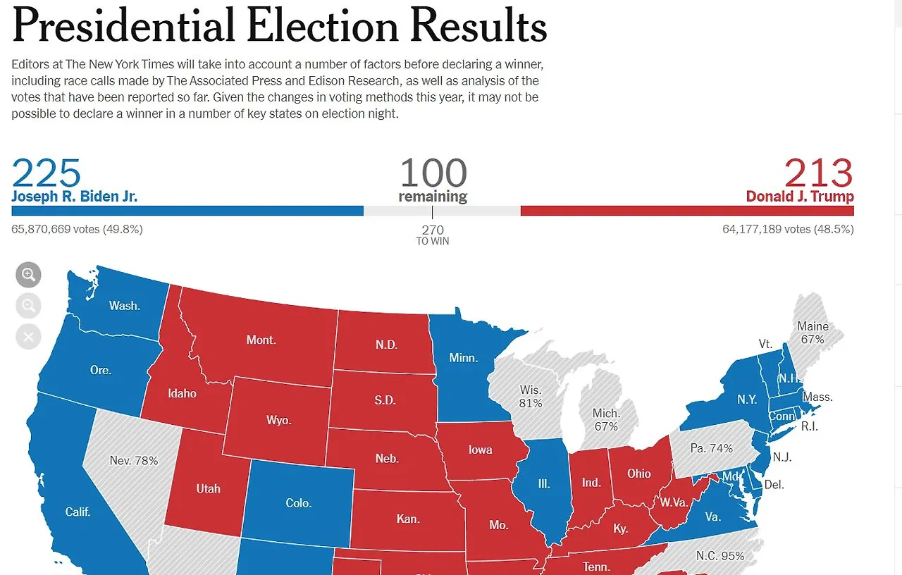 미국대선 ELECTION 2020.JPG