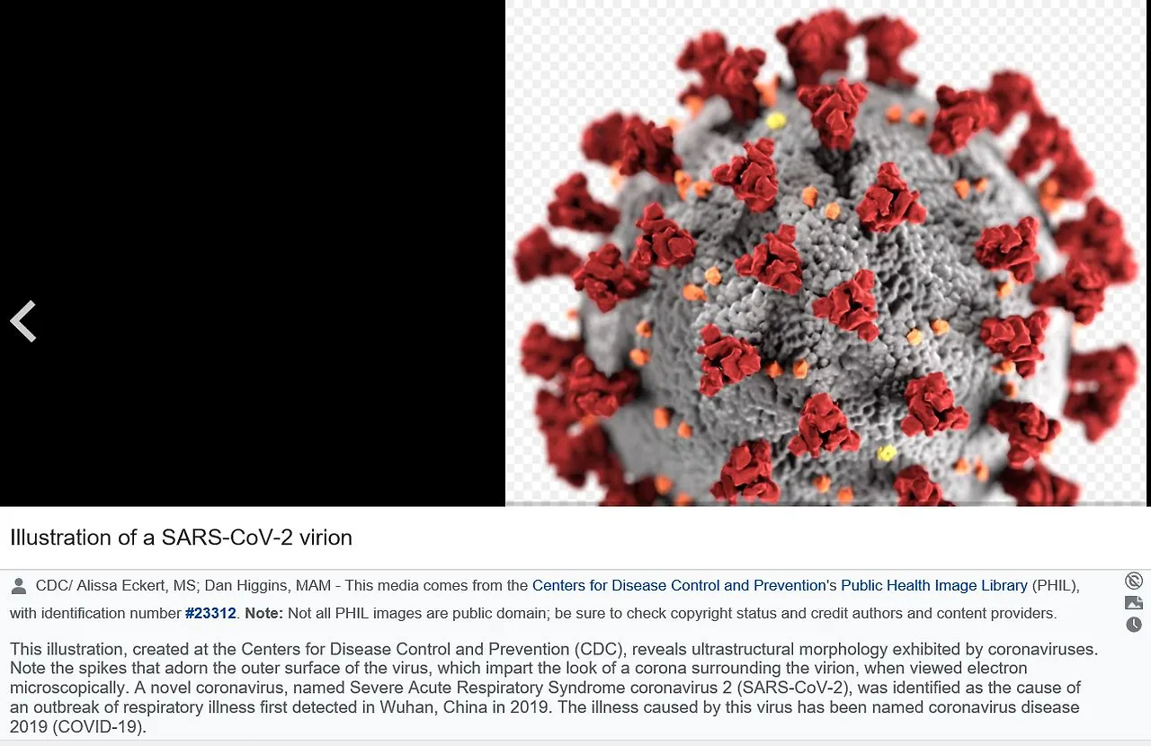corona Virus 2 -wuhan.JPG