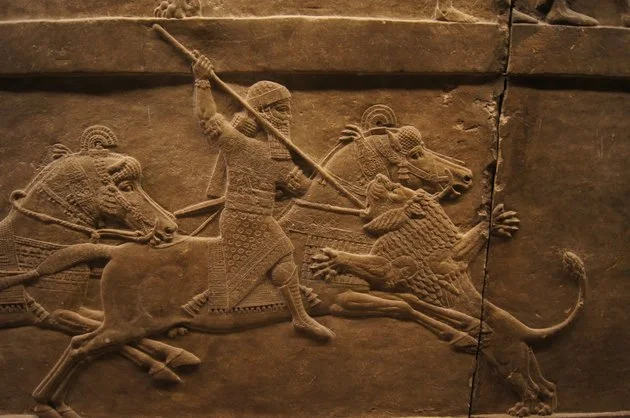 5b39c62a200000f202b95e47.jpeg?ops=scalefit_630_noupscale