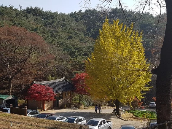 20161112_134354.jpg?type=w580