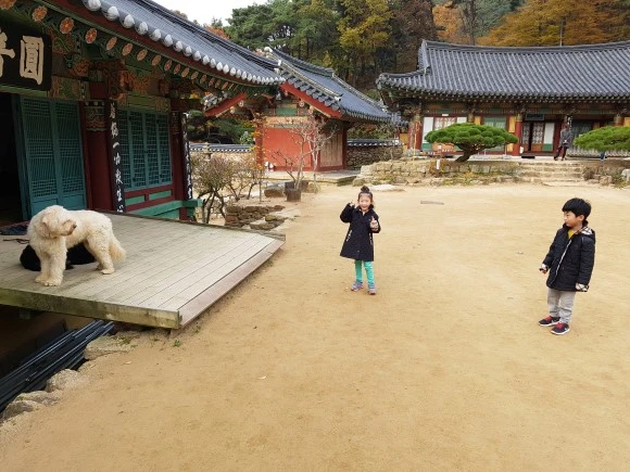 20161113_084713.jpg?type=w580