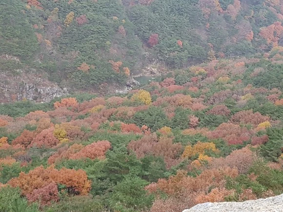 20161113_072200.jpg?type=w580