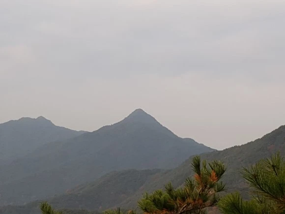 20161113_071457.jpg?type=w580