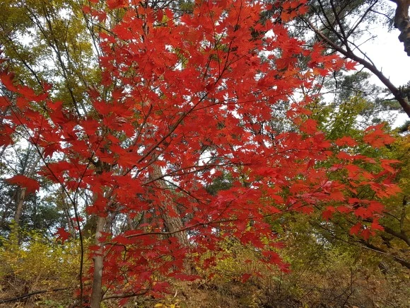 20161113_075448.jpg?type=w580