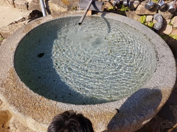 20161112_142622.jpg?type=w580