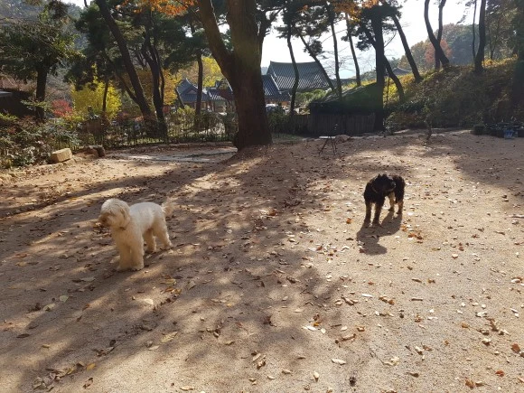 20161112_1349051.jpg?type=w580