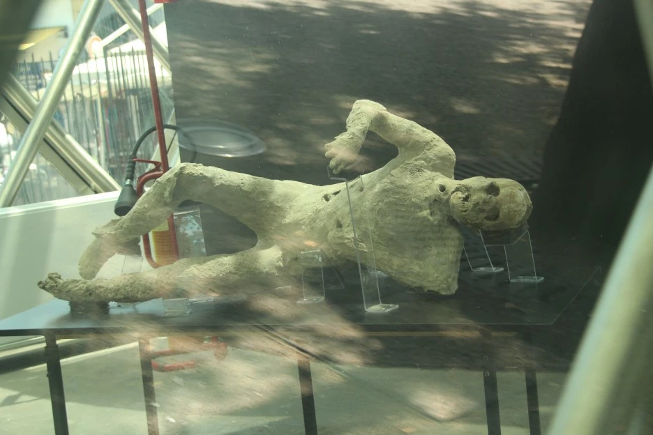 IMG_9856.jpg?type=w1