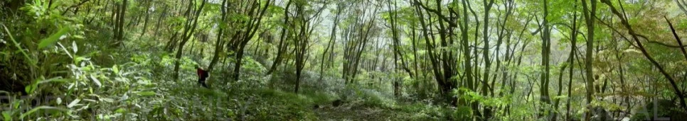 Cap_2020-12-11_00-48-13-267.jpg?type=w966