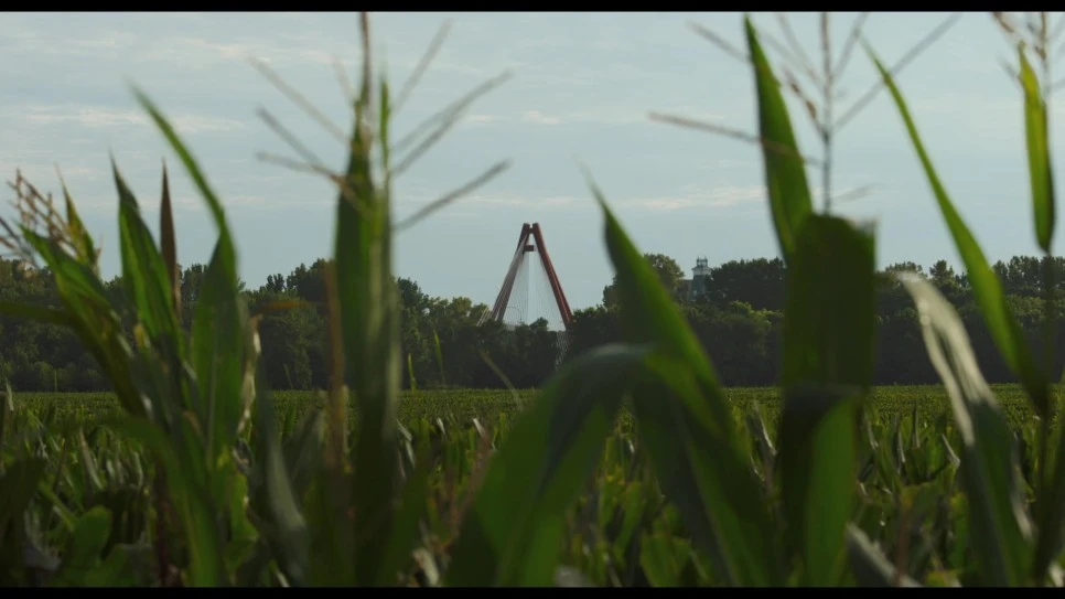 Columbus.2017.Bluray.1080p.DTS-HD.x264-Grym.mkv_20220626_114003.683.jpg?type=w966