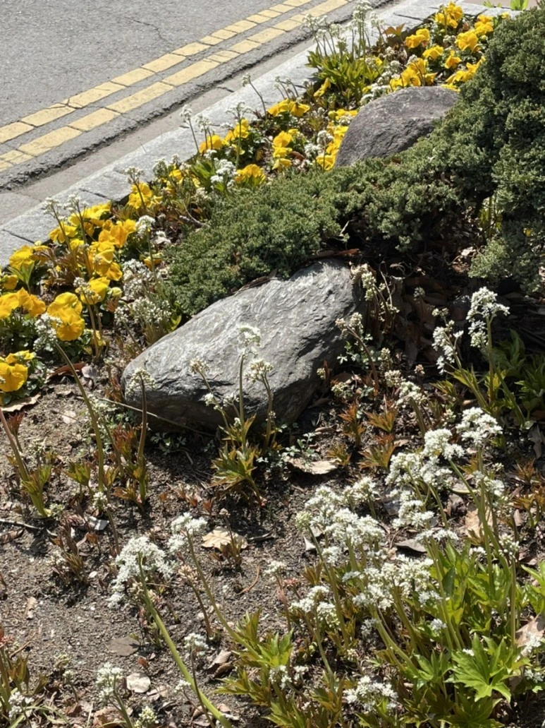 IMG_3546.jpg?type=w773