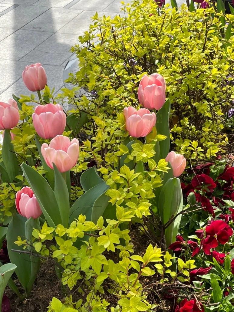 KakaoTalk_20220412_084104842_01.jpg?type=w773