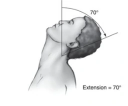 normal rom neck ext.bmp