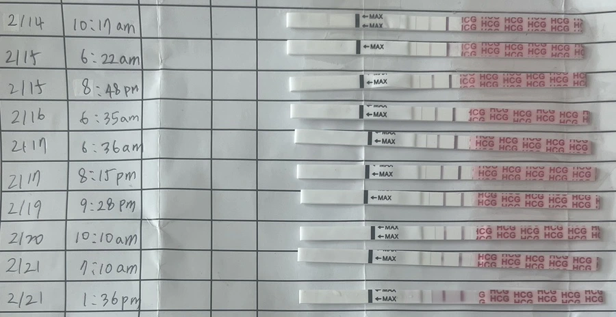 output_3321208406.jpg?type=w1