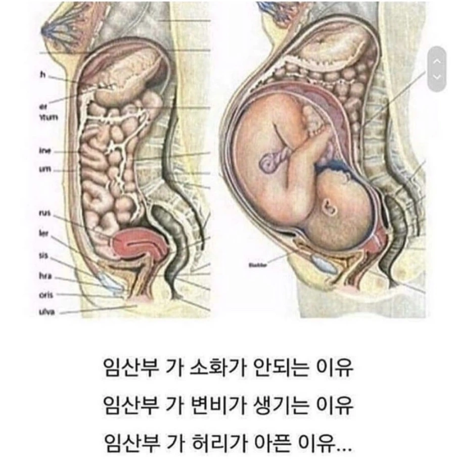 IMG_4813.jpg?type=w1