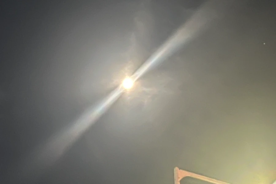 IMG_4667.jpg?type=w1