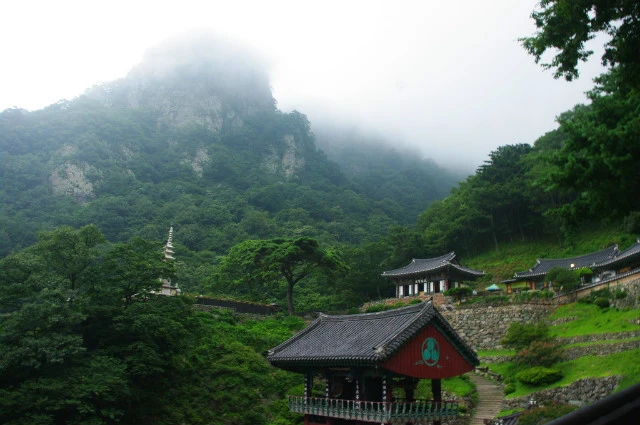 12284C524E47D4AD247245