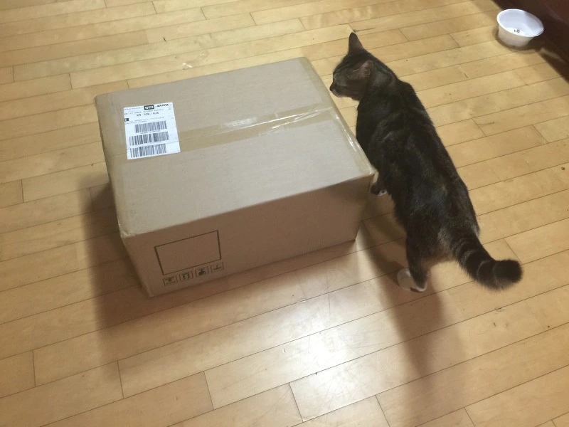 213EBC4555D1EE951CE4A6