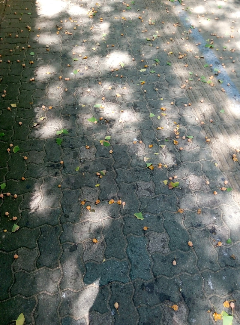 2361773F55FB681230515D