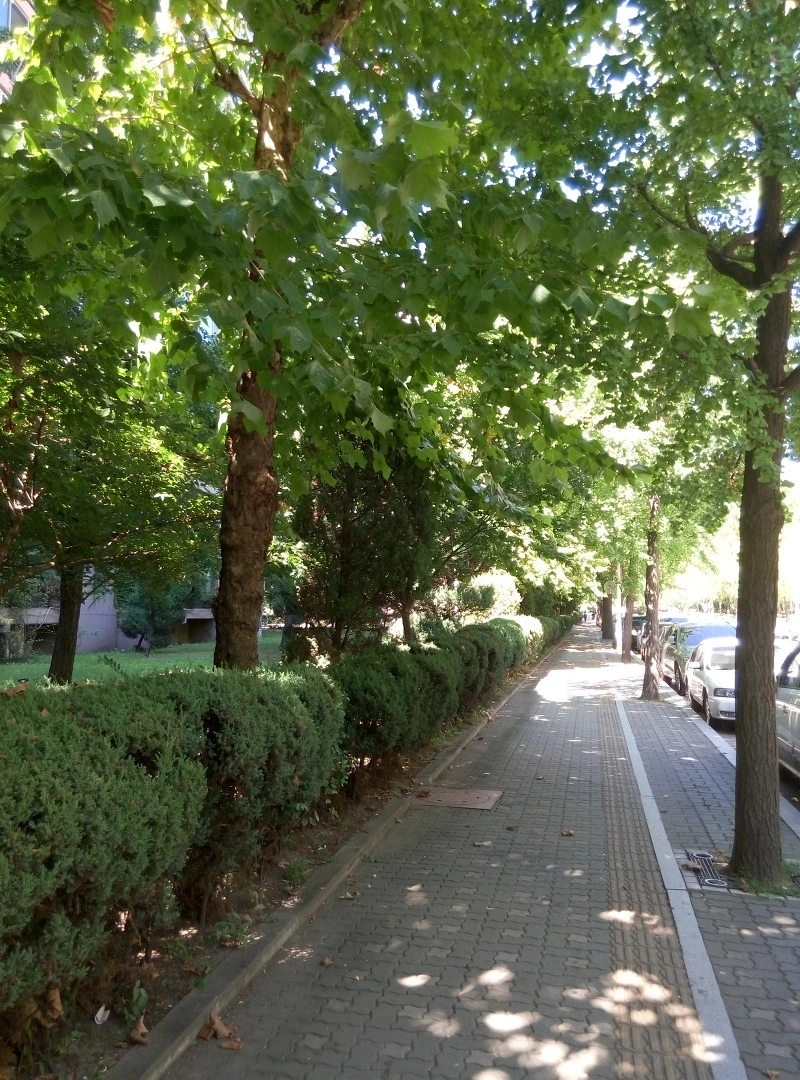 2128AD3F55FB6817057699