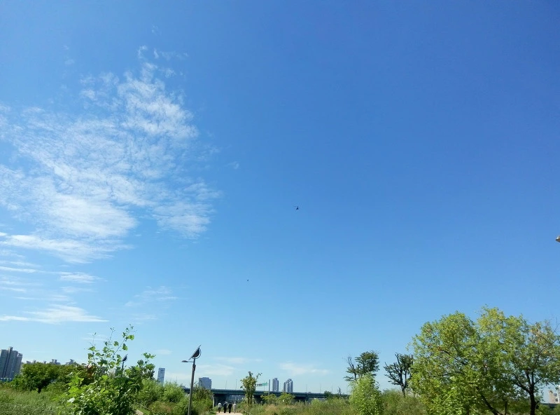 274D3A4B55FB68313B1E55