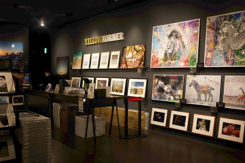 _MG_9710.jpeg?type=w800