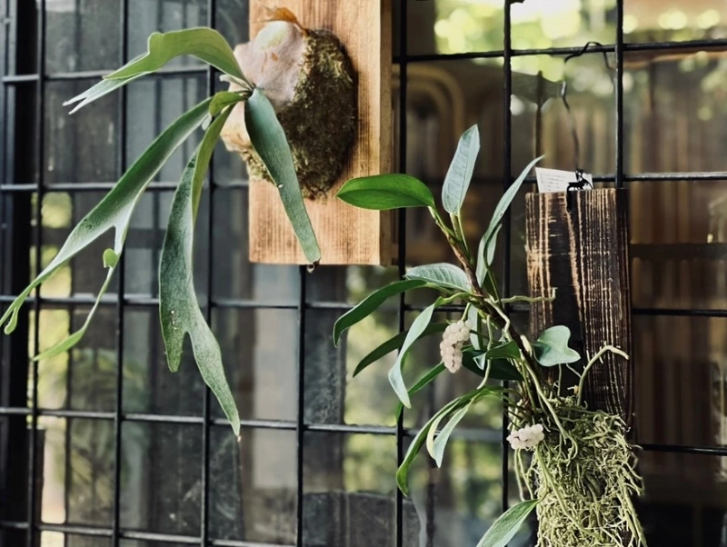 garage_toyohashi_1750071600_3656147376078672121_9362504922.jpg?type=w800