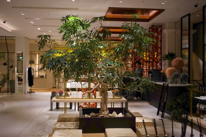 _MG_0815.jpeg?type=w800